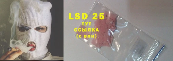 стафф Вязьма