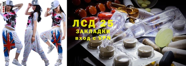 хмурый Вяземский